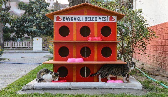 Bayraklı’da kedi evlerinin sayısı 20’ye yükseldi (5)